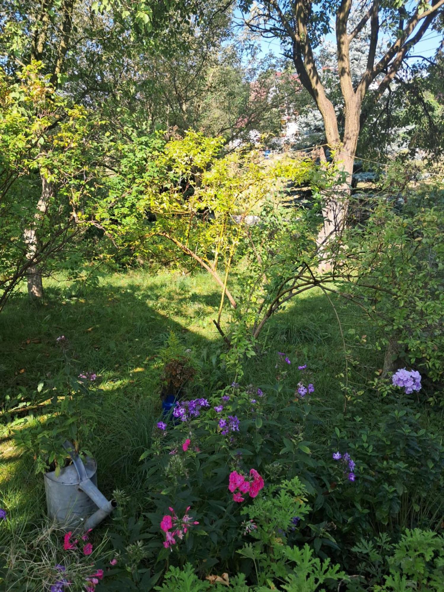 Apartamento Przytulia Blekitny Kopaniec Exterior foto